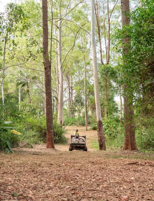 Creek2Coast_2025 Maleny Retreat-101 (1)