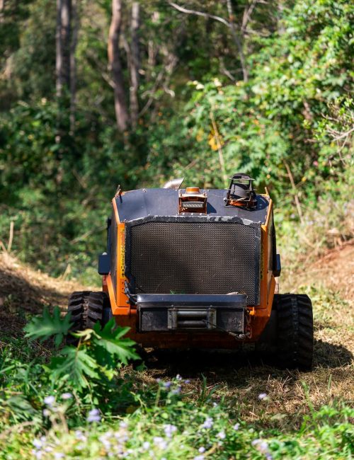 Creek2Coast_2025 Maleny Retreat-112 (1)