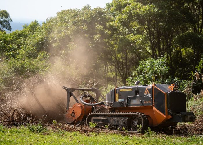 Creek2Coast_2025 Maleny Retreat-151 (1)